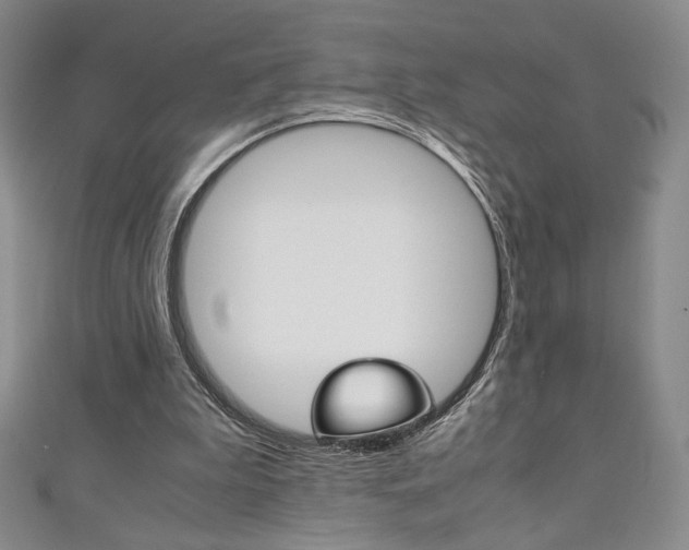 X0000111150199200906301044