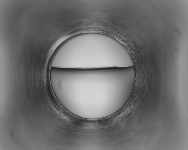 X0000111150200200906301044