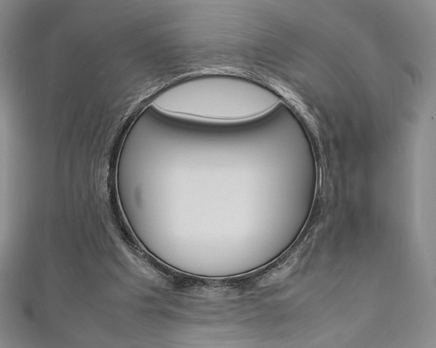 X0000111150201200906301044