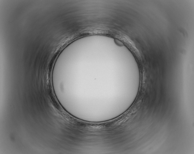 X0000111150202200906301044