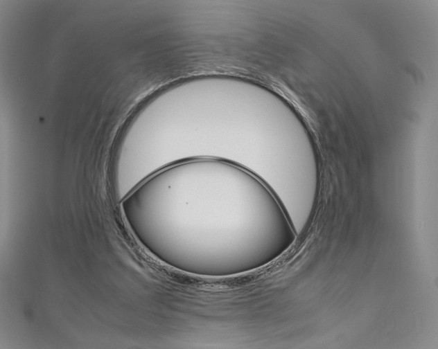 X0000111150203200906301044