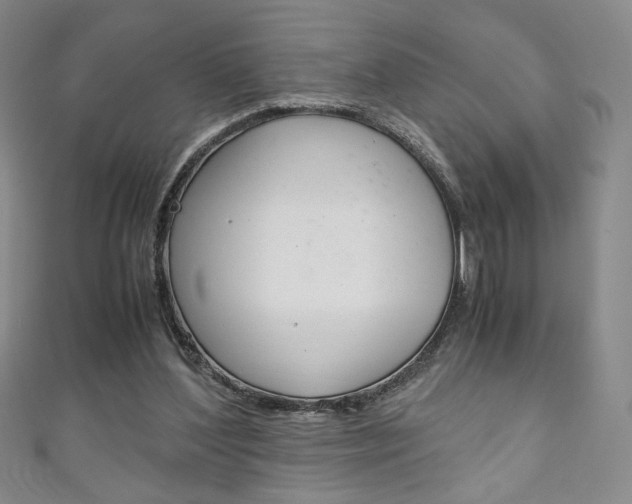 X0000111150204200906301044