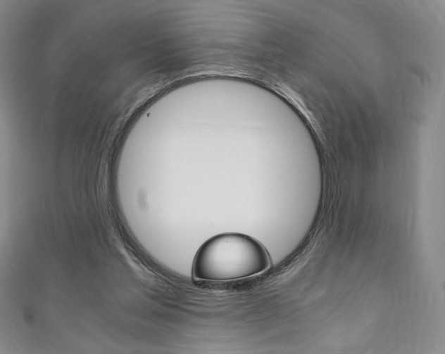 X0000111150205200906301044