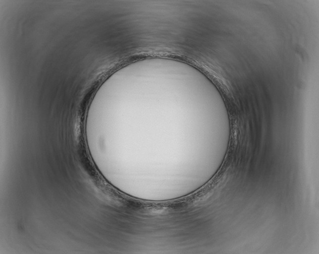 X0000111150206200906301044