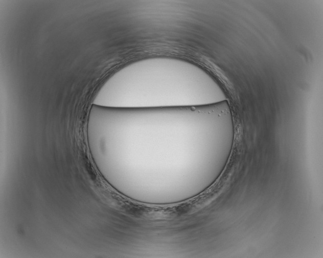 X0000111150209200906301044