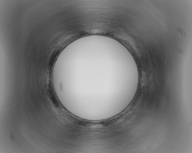 X0000111150210200906301044