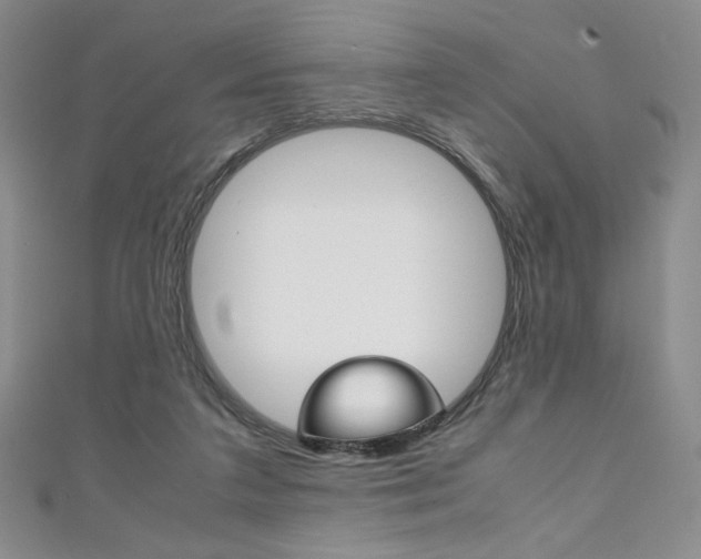 X0000111150211200906301044