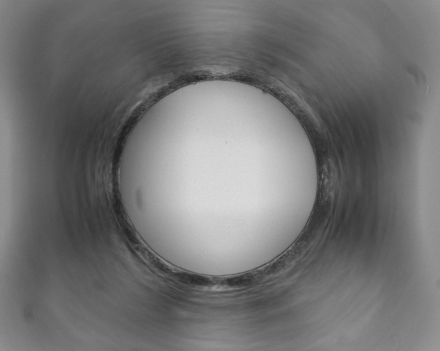 X0000111150212200906301044