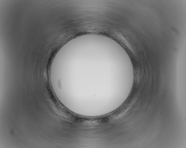 X0000111150213200906301044