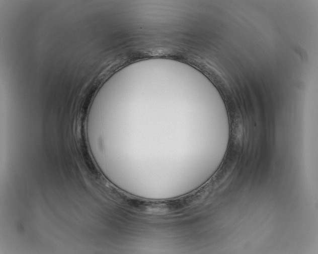 X0000111150214200906301044
