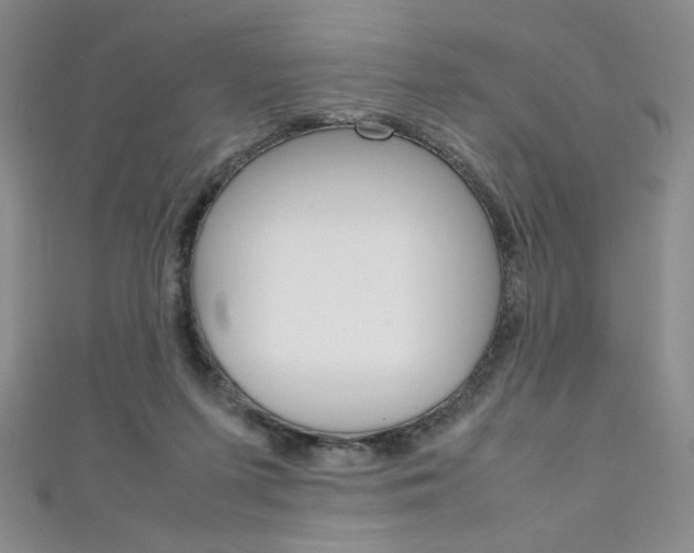 X0000111150215200906301044