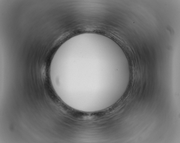 X0000111150216200906301044