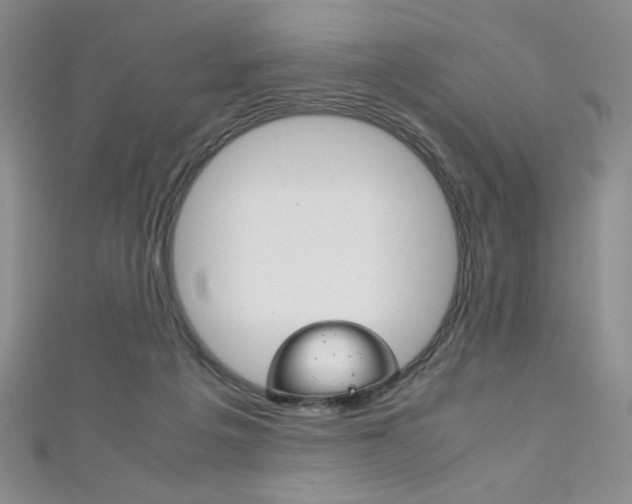 X0000111150217200906301044