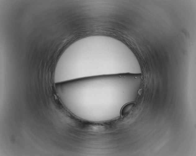 X0000111150220200906301044