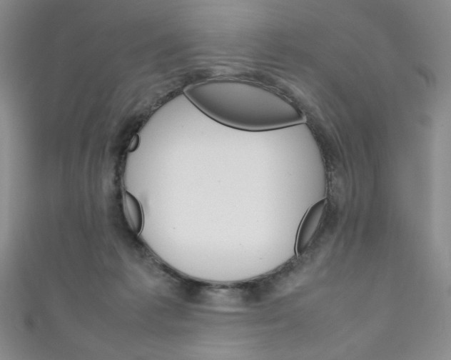X0000111150221200906301044