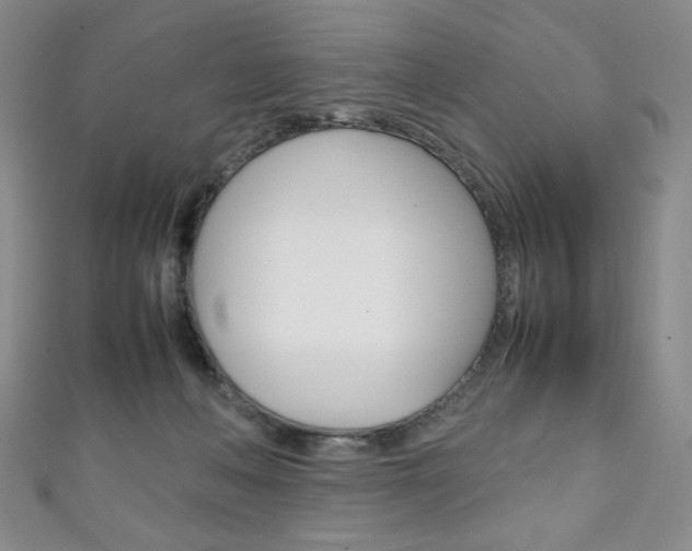 X0000111150222200906301044