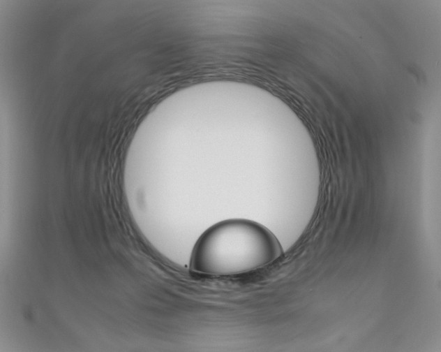 X0000111150223200906301044