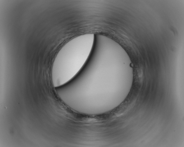 X0000111150224200906301044
