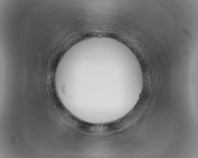 X0000111150225200906301044