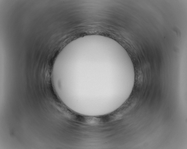 X0000111150226200906301044