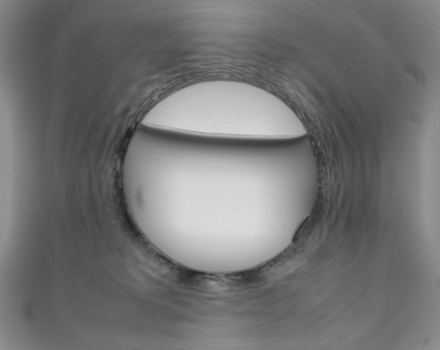 X0000111150229200906301044