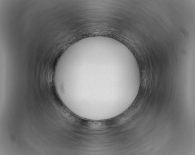 X0000111150230200906301044