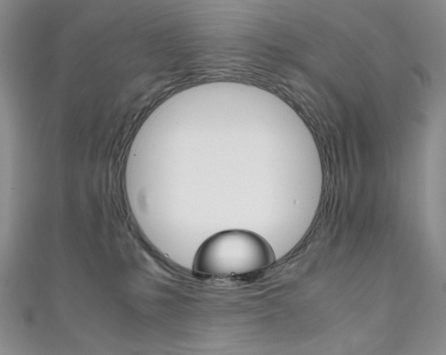 X0000111150231200906301044
