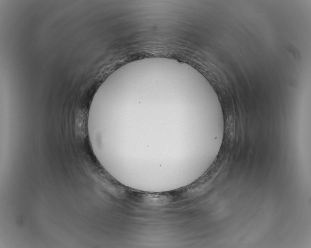 X0000111150234200906301044