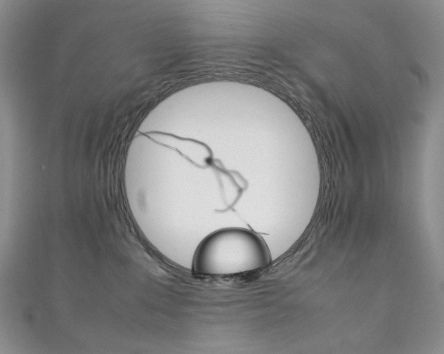 X0000111150235200906301044
