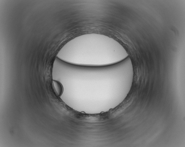 X0000111150236200906301044
