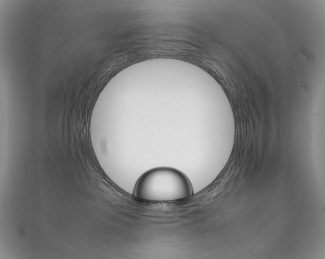 X0000111150237200906301044