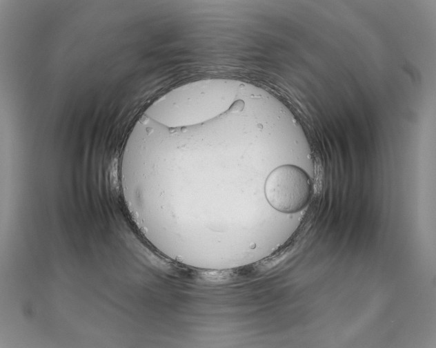 X0000111150238200906301044