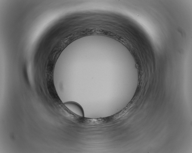 X0000111150239200906301044