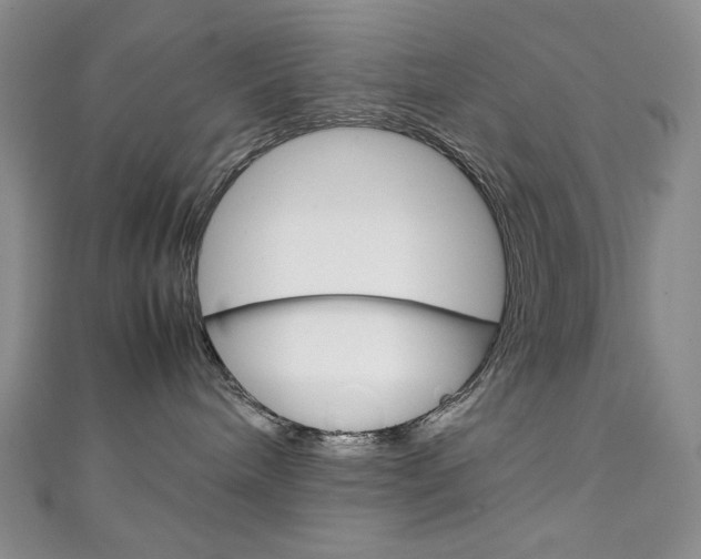 X0000111150240200906301044