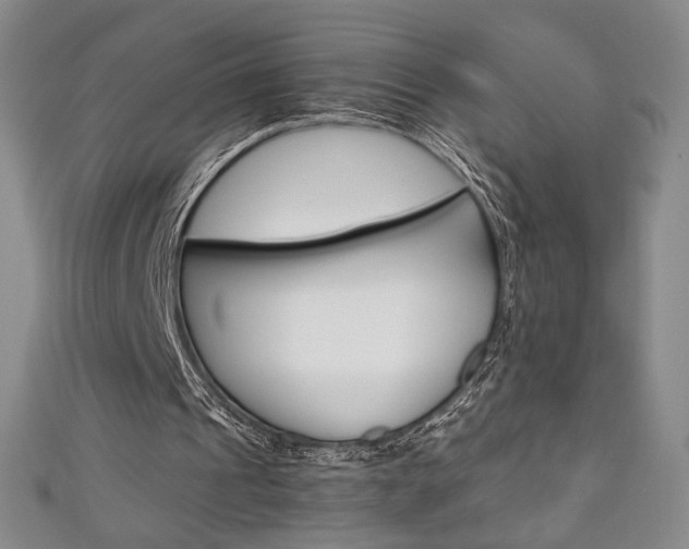 X0000111150241200906301043