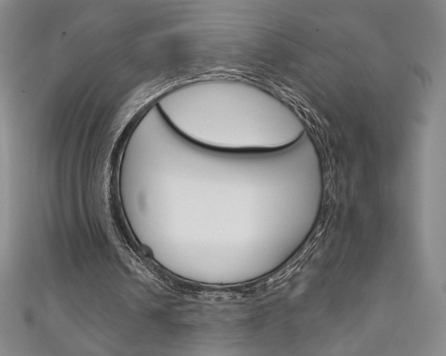 X0000111150242200906301043