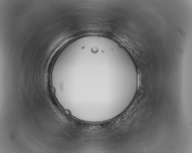 X0000111150243200906301043