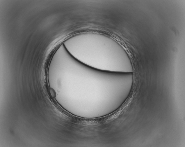 X0000111150245200906301043