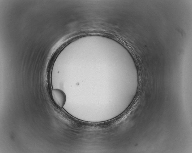X0000111150246200906301043