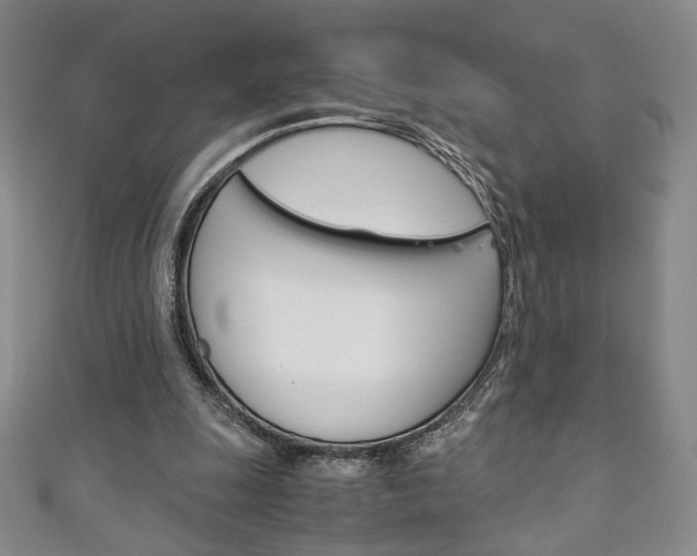 X0000111150247200906301043