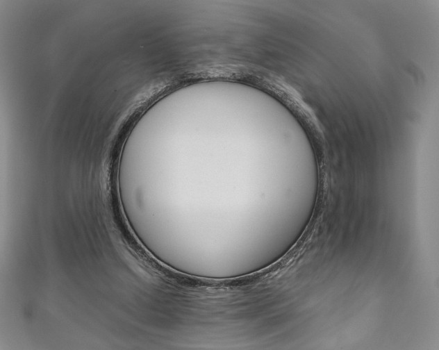 X0000111150250200906301043