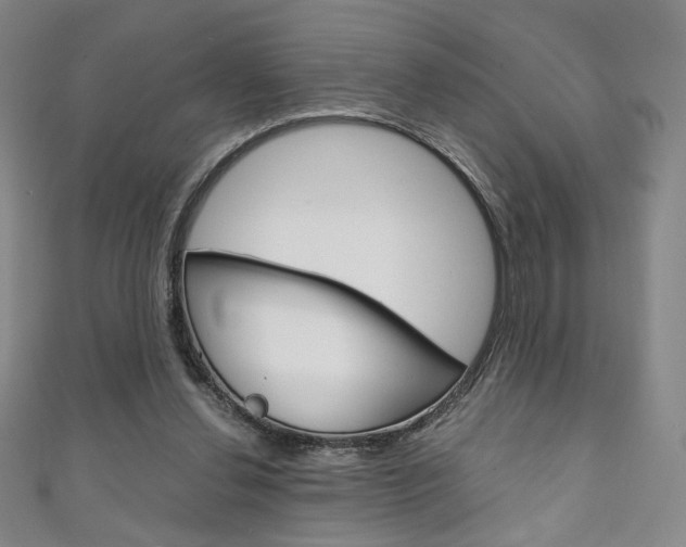 X0000111150252200906301043