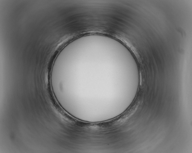 X0000111150253200906301043