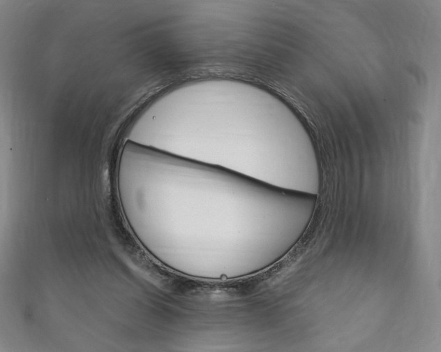 X0000111150254200906301043