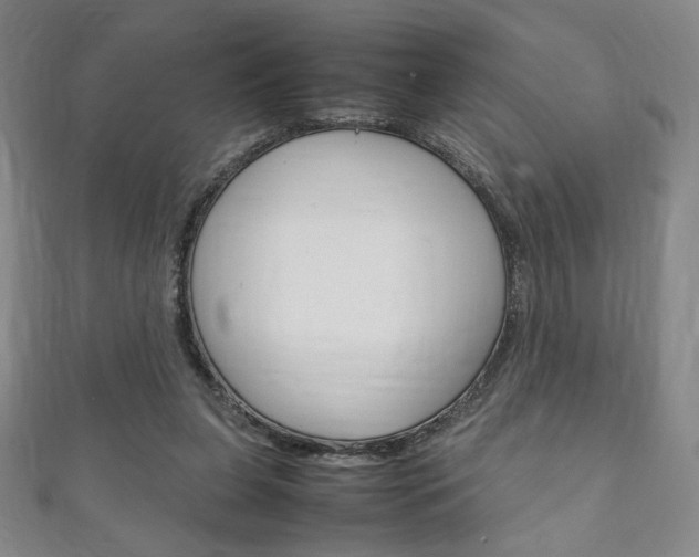 X0000111150255200906301043