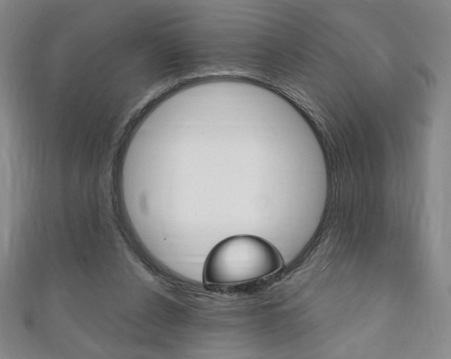 X0000111150256200906301043