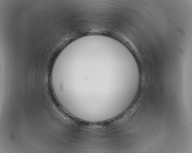 X0000111150257200906301043