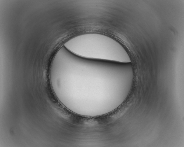 X0000111150258200906301043