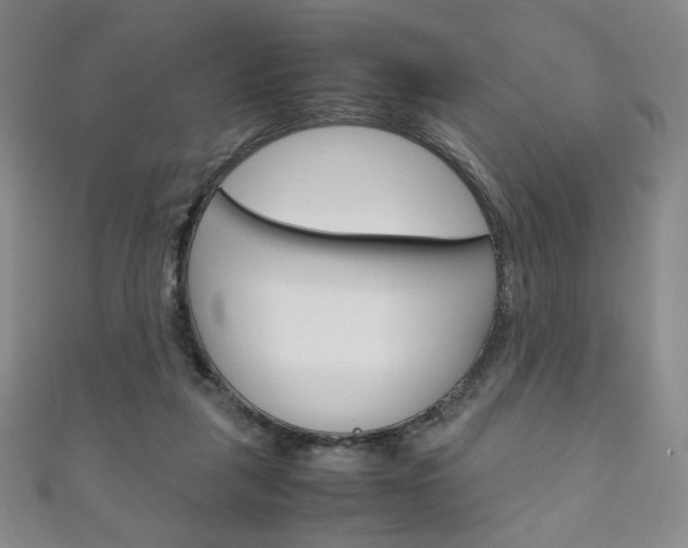 X0000111150259200906301043