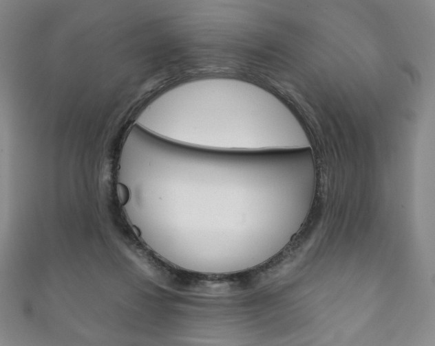 X0000111150260200906301044